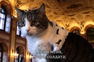 Кот играет Шекспира Генрих V / Cat plays Shakespeare Henry V