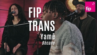 Fip en Trans : Yam Bcane