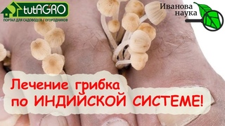 НОГИ ИНДУСА - СПОСОБ ПОЛНОГО ИЗЛЕЧЕНИЯ ГРИБКА НАТУРАЛЬНЫМИ СРЕДСТВАМИ!