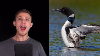 Парень издаёт звуки птиц!!! Очень похоже!