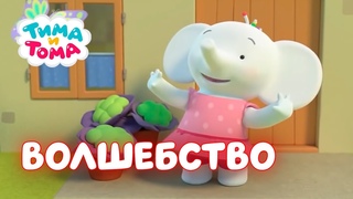 Тима и Тома. Лучшие серии о волшебстве!