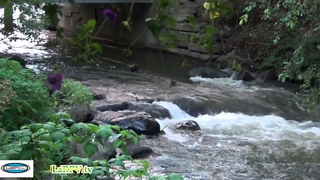 Relaxation - ZEN 10 - eau qui coule - hypnosis water -