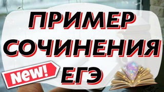 ПРИМЕР СОЧИНЕНИЯ ЕГЭ - 2020 [IrishU]
