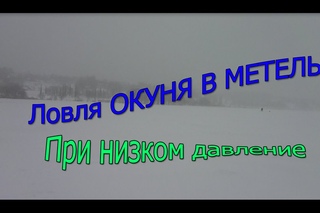 Ловля ОКУНЯ В МЕТЕЛЬ  при низком давление.