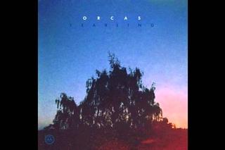 ORCAS - Selah