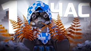СТАЛКРАФТ но я фармлю север 1 час! И ВОТ ЧТО ВЫШЛО! STALCRAFT