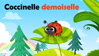 Coccinelle demoiselle, bte  bon dieu - Comptine  gestes pour enfants et bbs (avec les paroles)