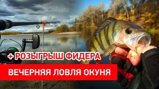 ПОИСК ОКУНЯ в мае на УЛЬТРАЛАЙТ. РОЗЫГРЫШ ФИДЕРА!