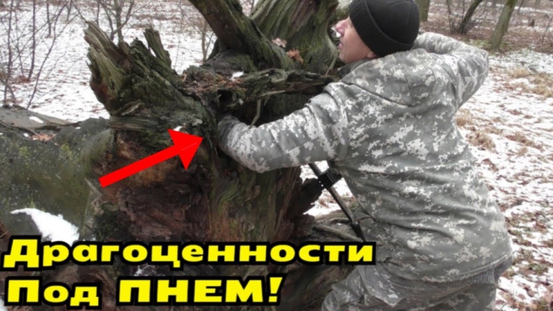 СУНУЛ РУКУ под ПЕНЬ и ЧУТЬ СЕРДЦЕ не СТАЛО от ОБНАРУЖЕННОЙ