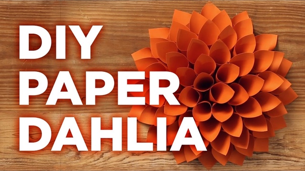 Giant Paper Dahlia: Pinterest Inspired Weekday Crafternoon