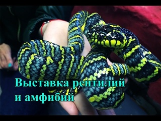 Московская выставка рептилий и амфибий