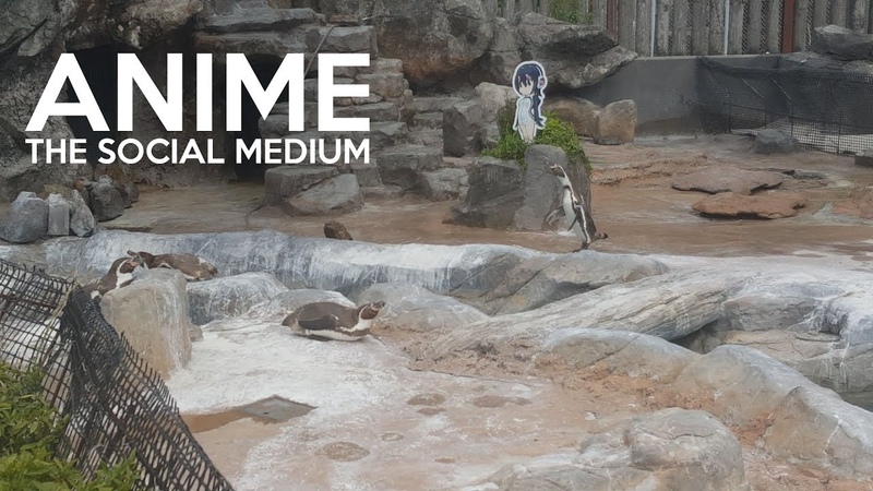 Anime: The Social Medium, The Canipa