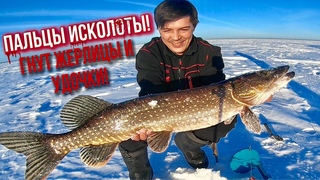 ПАЛЬЦЫ ИСКОЛОТЫ! ГНУТСЯ ЖЕРЛИЦЫ, УДОЧКИ В ДУГУ! ТУРБО КЛЁВ ПРОДОЛЖАЕТСЯ! 2я часть.