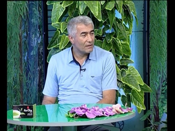 Qan Azlığının Fəsadları və Təbii