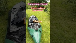 Владимир Песня/ Тик Так Шансон 2024 #shortsvideo #shorts #шансон
