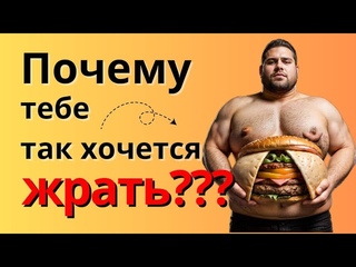 Почему я хочу КУШАТЬ Вот почему... Биология пищевого поведения человека.