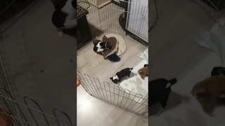 VID 20210129 071739