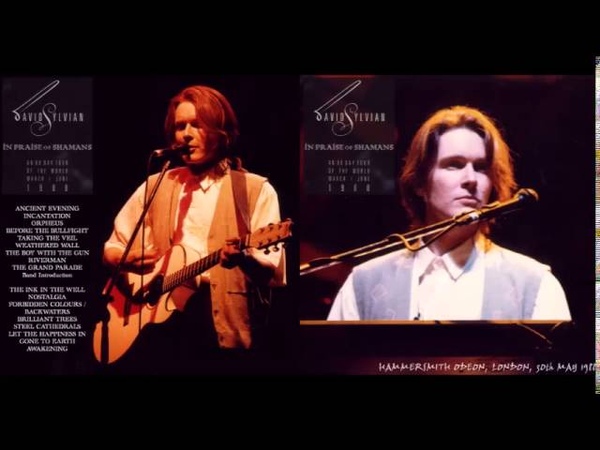 david sylvian before the