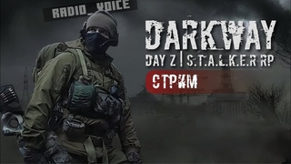 В ПОГОНЕ ЗА ШИЗОЙ ● STALKER RP DARKWAY ● 290
