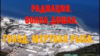 Радиация. Волна дошла.  Голод. Мертвая рыба. Япония АЭС Фукусима-1