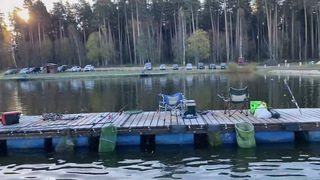 Запуск форели в водоем ежедневно!