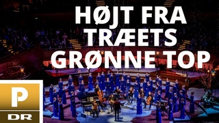 Hjt fra trets grnne top // DR Pigekoret
