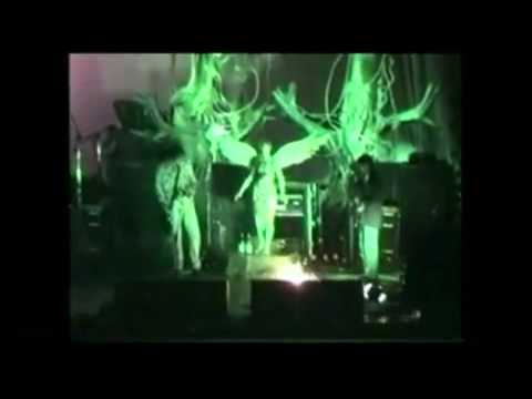 Nirvana Kurt Cobain Interesting and Funny