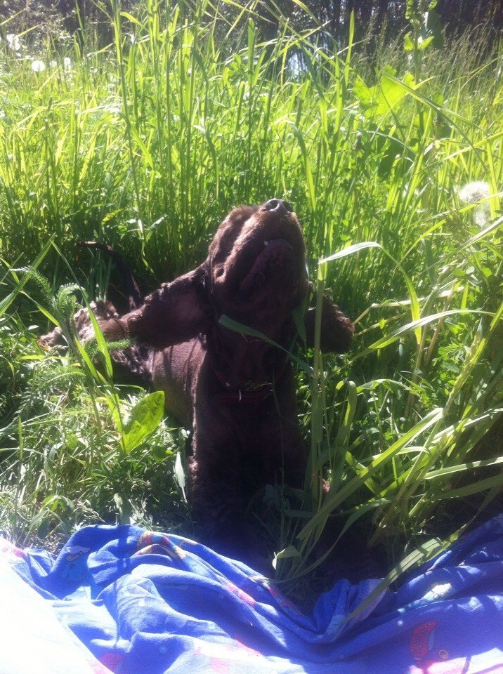 Мария Кандеева | Новосибирск