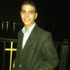 Fady Gamal, 29 лет, Giza