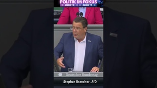 Brandner AfD Deckt auf