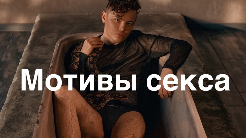 Мотивы секса, Что нас заставляет заниматься любовью ,