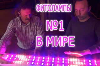 Прорыв в технологиях. Светодиодные фито лампы для РАСТЕНИЙ №1 в мире. Лучшее осв ...