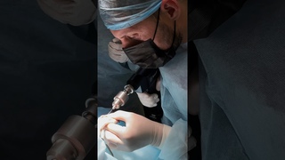 Сломал лапку #животные #перелом #собака #vet
