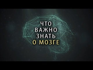 Что Важно Знать КАЖДОМУ о Мозге 5 ФАКТОВ
