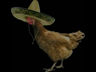 chicken_808