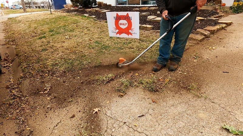Kittie Rescue Needs Help with UGLY OVERGROWN PROPERTY Start to Finish