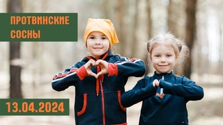 Протвинские Сосны 2024