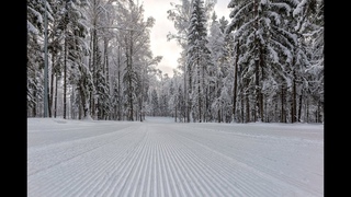 Лыжные гонки! Впервые в России!  MONSTER SKI CUP 1 й этап в парк-отеле Пересвет