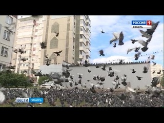 В одном из районов Красноярска борются с голубями