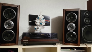 Pioneer S-55twinSD. Тестовое видео 3