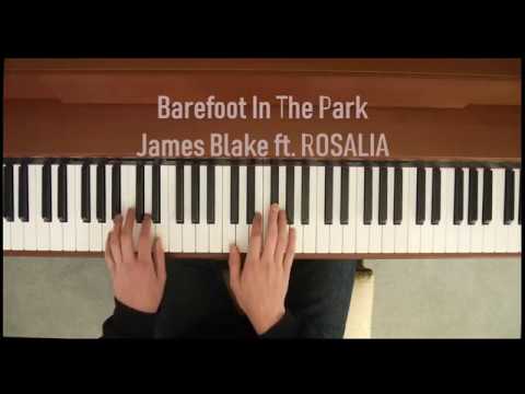 James Blake Barefoot In The Park ft. Rosalia ( Piano