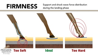 How Arena Surfaces Affect Horse Biomechanics