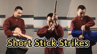 Hapkido Short Stick Strike Techniques | TaekwonWoo
