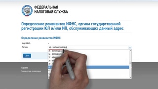 Как узнать реквизиты налоговой, узнать адрес налоговой и записаться на прием