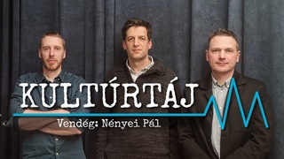 vrl vre zuhan a mveltsg sznvonala a diksg krben  Nnyei Pl a Kultrtjban