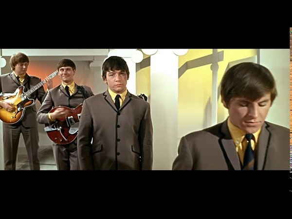 Animals The House Of The Rising Sun ( AI Upscale) HD