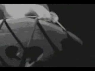 Jailbirds-Wild One's