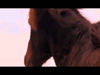 Моя музыка, исполнение и ролик: Песня Рыжий конь... (Red Horse)