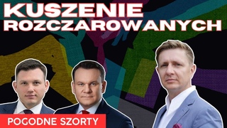 Bartoszewicz, Menztzen, Tarczyski i inni - kalejdoskop wyborczych alternatyw | Pogodne Szorty #148