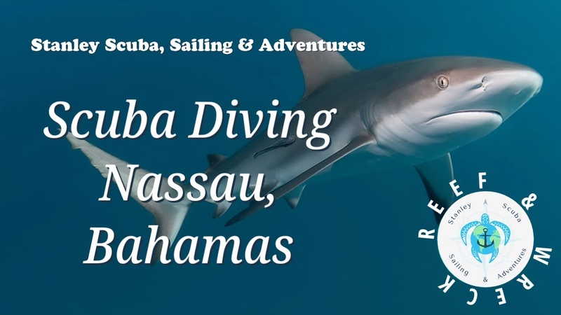 Scuba Diving Nassau Bahamas The Ridge Sea Viking Wreck May